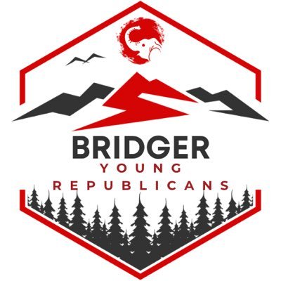 BridgerReps Profile Picture