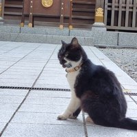 sasa (@sasasa319319) 's Twitter Profile