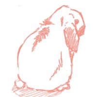 ぷーちゃん (@mitu242000) 's Twitter Profile