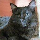 Robin Bailey - @RobinBailey21 - Twitter