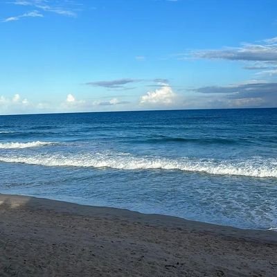 avanciiof's profile picture. 