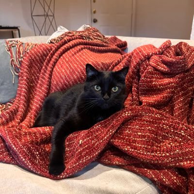 JackMil40825716's profile picture. 