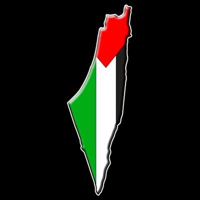Give them bread and circus and they will never revolt 🇵🇸🇾🇪🇮🇷🇱🇧From the river to the sea, Palestine will be free!