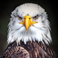 TITO (@m_g_tito) 's Twitter Profile
