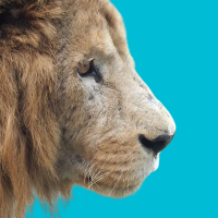 ポクシ🐳 (@poksi225) 's Twitter Profile Photo