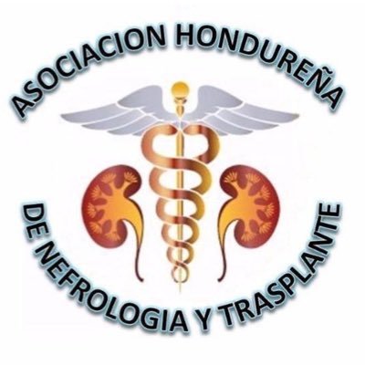 Velando por la salud renal de los Hondureños. Educación Médica Continua. Investigación. Consultoría y Colaboración SESAL/OPS/OMS.