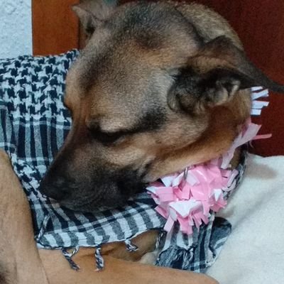 CucuBaEx's profile picture. aquarela