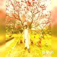 ji_aqinwwna's profile picture. call me eevee 🤓
UCI B.S. Mathematics 
UCSD M.S. Electrical Engineering  
evangeline_paintings