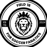 Field 16(@SoccerPitch10) 's Twitter Profile Photo