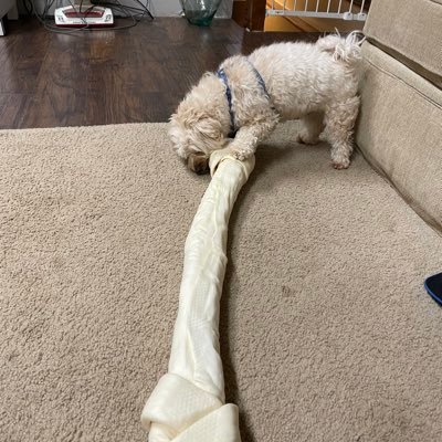 Edrodgers66's profile picture.