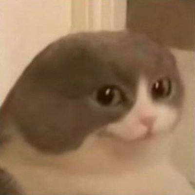 _SquawkBox_'s profile picture. 