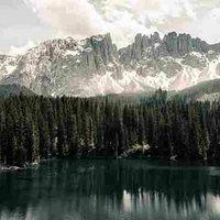 Saeed (@yalla_saeed) 's Twitter Profile