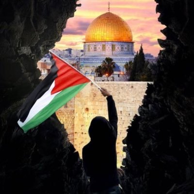 Free the World, Palestine already is! #FreeGaza #FreePalestine #EndtheGenocide