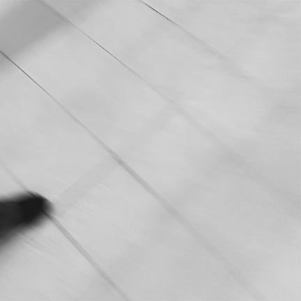 tanpoporuko's profile picture. 