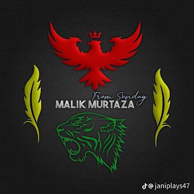 Murtaza21973 Profile Picture