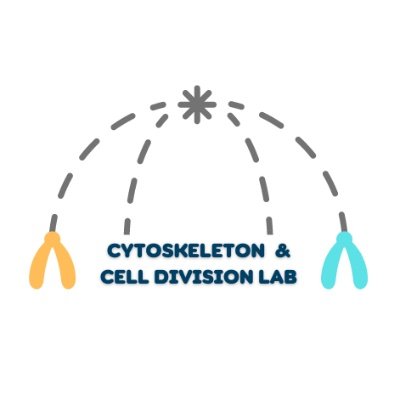 Cytoskeleton and Cell Division Laboratory @tvmiiser    
Understanding Mammalian Cell Division: Centrosome Biology and Spindle-Kinetochore Attachment