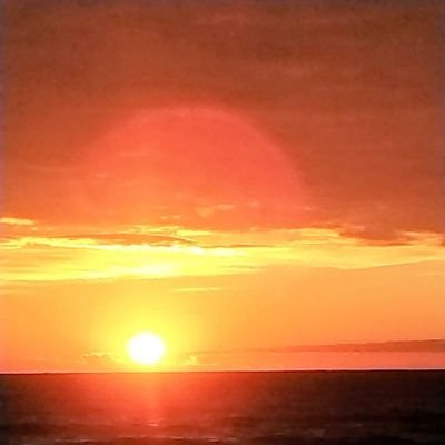 めいじん🤩いいね返し全部押せる自信が有りません