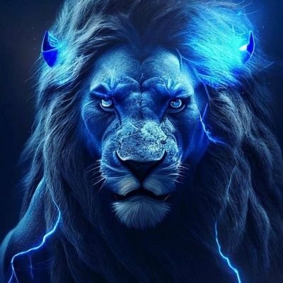 TomWinnett1's profile picture. politics, Slava Ukraine, animals, landscapes! NO DMs! NO Lists!