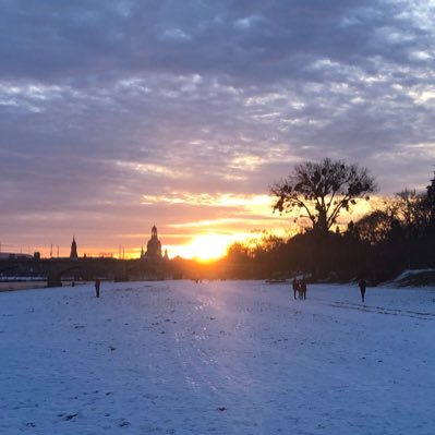 Gagakokon's profile picture. 