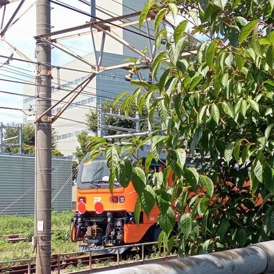 Export rolling stock of JP