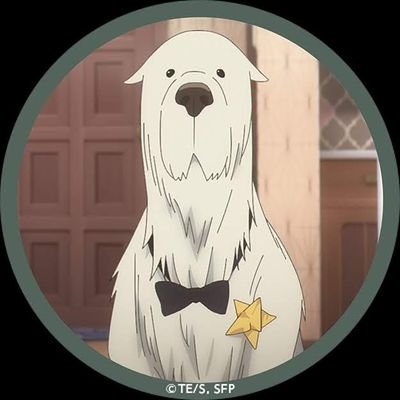 だらさんのプロフィール画像