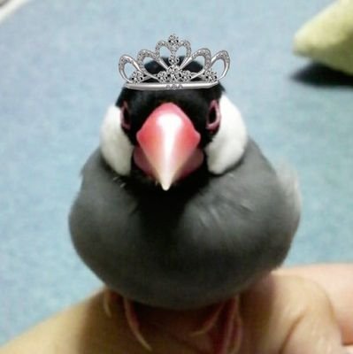0xeu6rKuMbBpwUr's profile picture. 