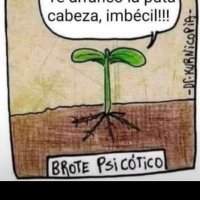 alBeRTogalicia82 (@br0tepsic0tic0) 's Twitter Profile