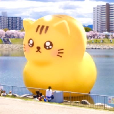 『猫ともクラブ in 大阪狭山』は、猫好きなサポーターや個人ボランティアの情報交換の場であり、 外猫さんの環境向上と、人と猫との共生を考える市民集会です🐈 【🌟会員募集中🌟】 猫が大好きな方、 是非私達と一緒に活動しませんか? #大阪狭山市 #保護猫活動 #地域猫 #TNR #ペット防災