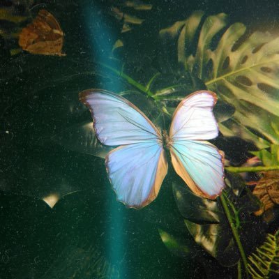 BayanHakem_'s profile picture. اولادي حياتي