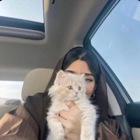 عبير العتيبي (@abeer22887) 's Twitter Profile