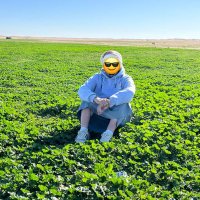 انسان بسيط (@abusaad_2004) 's Twitter Profile