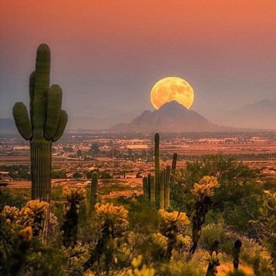 Canyon4's profile picture. 