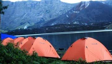 kempingseru's profile picture. bangun tendanya dan rasakan serunya berkemah...