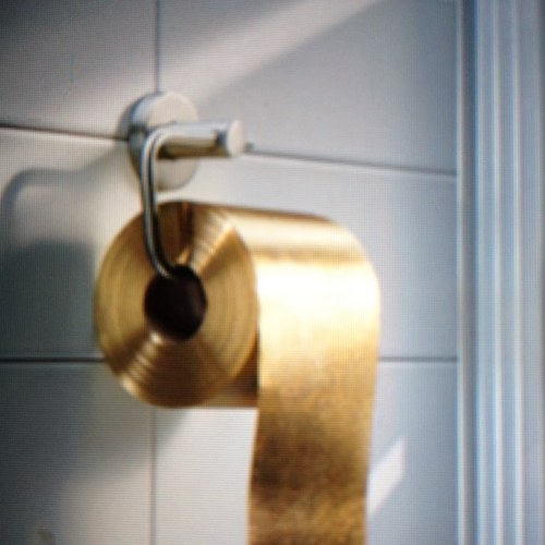 Shitlocal's profile picture. support local Triangle restaurants who take pride in their toilets!