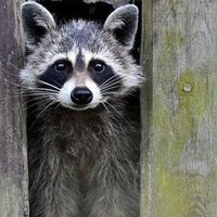 Marlon Douglas (@mdouglas18373) 's Twitter Profile