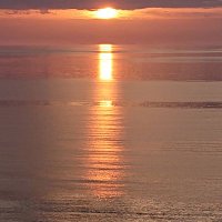 みつまめ (@bear9999999999) 's Twitter Profile Photo