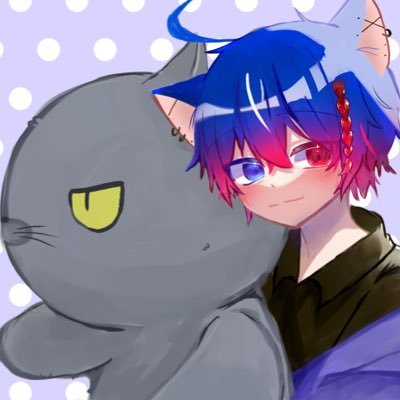 天海雨緋🐱☂️/再始動!!さんのプロフィール画像