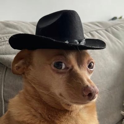 Ironman52859470's profile picture. 