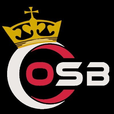 #SośnierzDoPE 
OSB - Ochotnicza Straż Brauna
Ludzie mówią, że jestem  antyukraiński/prorosyjski, a ja po prostu jestem propolski.
🇵🇱👑💪