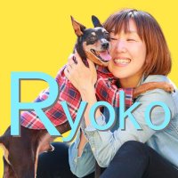 りょうこ｜シニア犬と健やかに暮らす(@dogark2) 's Twitter Profile Photo