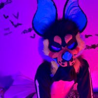 Moxie! ๐ฆ๐ป (@pup_moxie) 's Twitter Profile Photo Moxie! ๐ฆ๐ป (@pup_moxie) 's Twitter Profile Photo