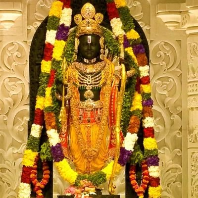 Prashan49817081's profile picture. 