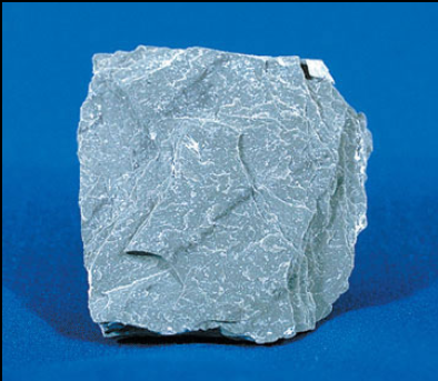 Thejizzler234's profile picture. 