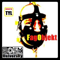 𝔽𝕒𝕘𝕆𝕓𝕛𝕖𝕜𝕥 🇩🇪 🇦🇹 (@fagobjekt) 's Twitter Profile