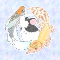 鱂屋@くるくるBox (@megaka10) 's Twitter Profile