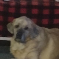 Franklin Burn (@burnfrankl71101) 's Twitter Profile