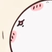 ぽんぽちさんのプロフィール画像