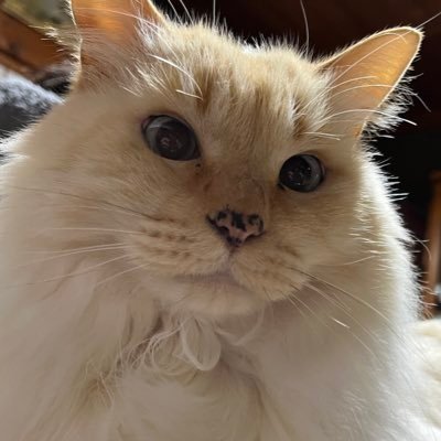 7Nanase_nico's profile picture. 10月からバイト、4月から公務員になる男 クソニート期間約1年