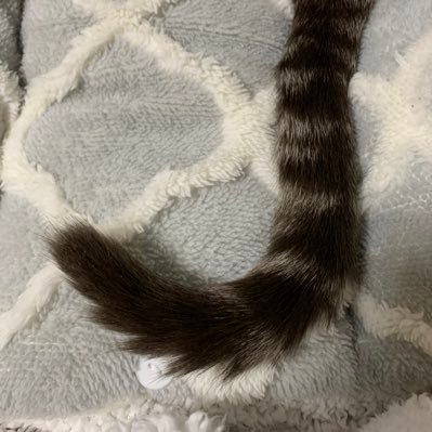 zawawazawawa123's profile picture. 