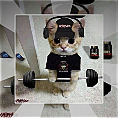 ID ( 546714834 )